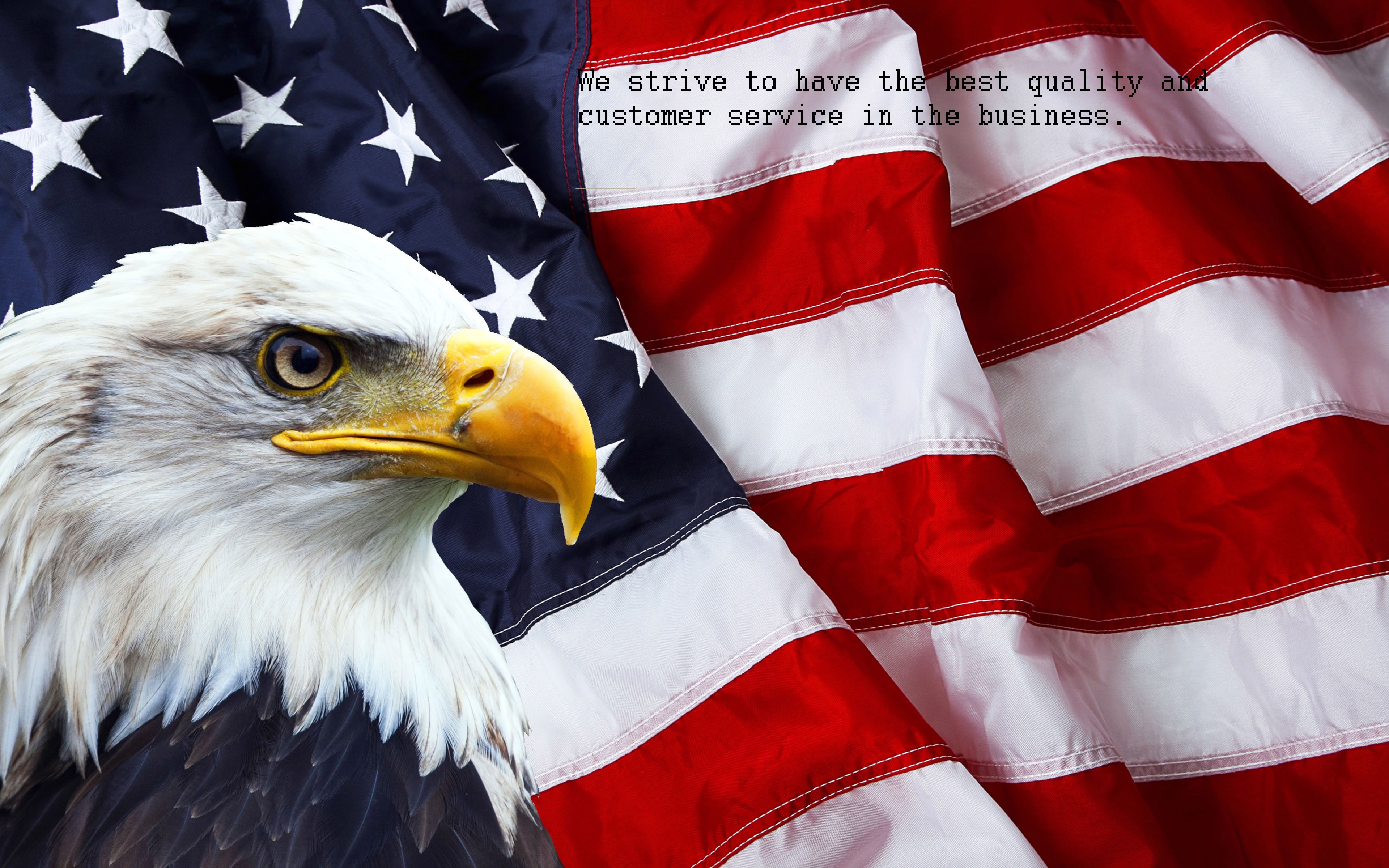 American-Flag-and-Bald-Eagle-photo-symbols-of-North-America-3840x2400